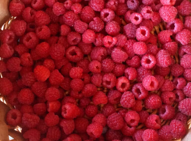 raspberries