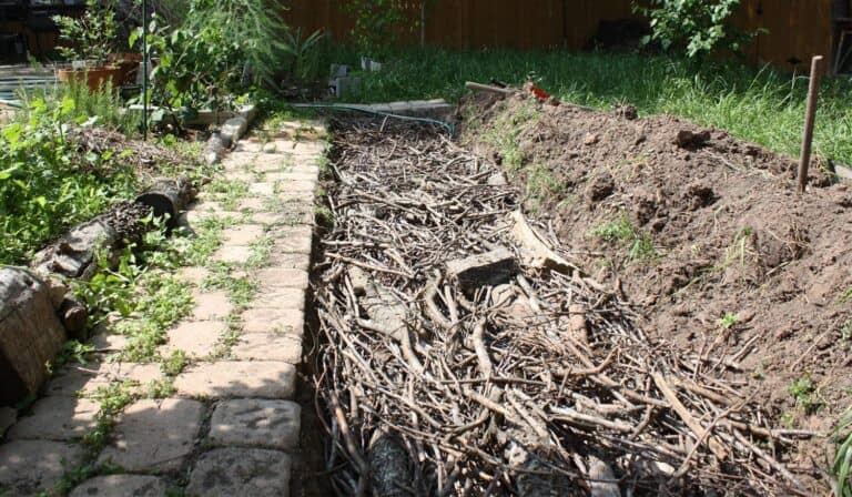 hugelkultur bed before adding soil