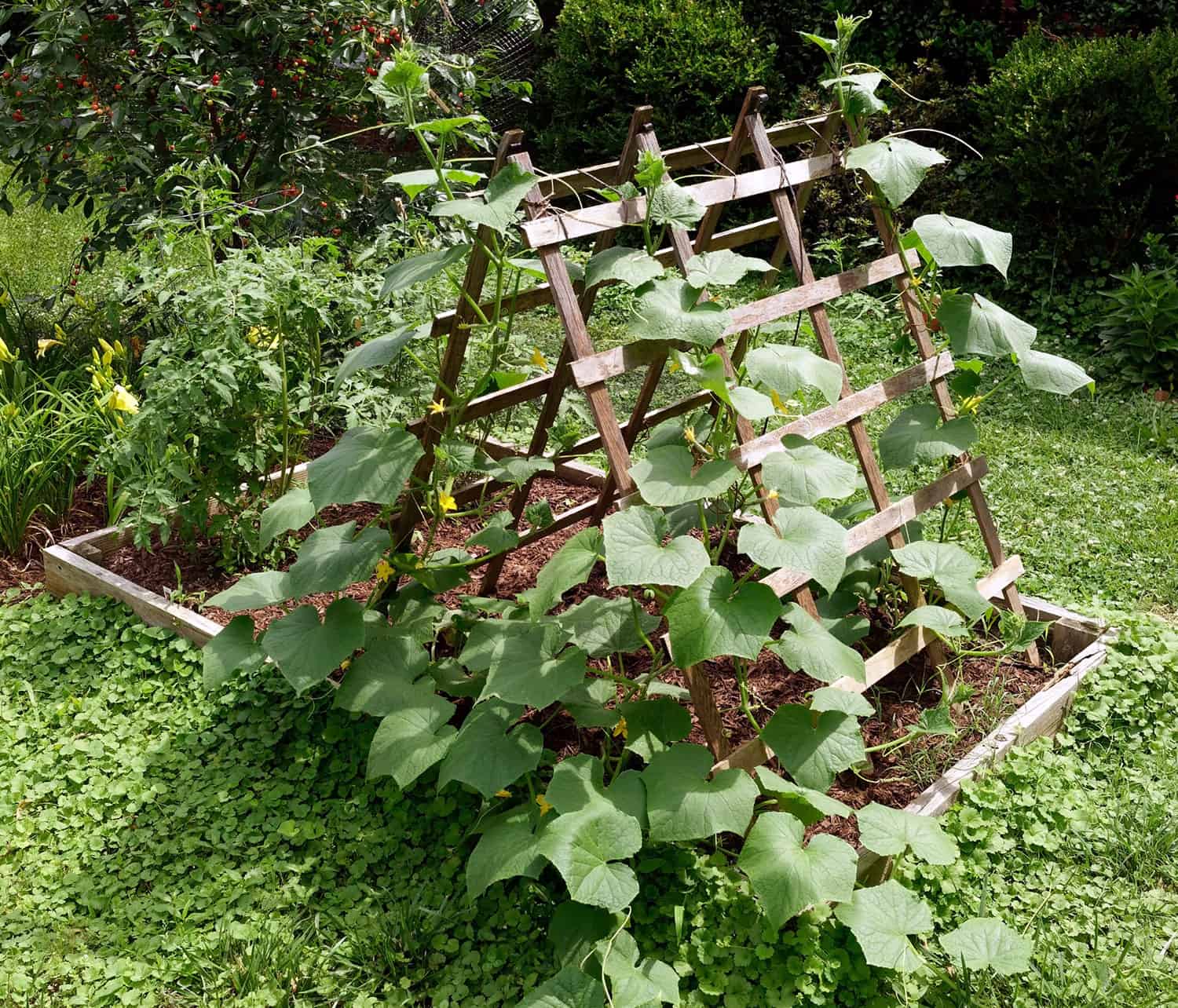 enrejado de jardín para huerta