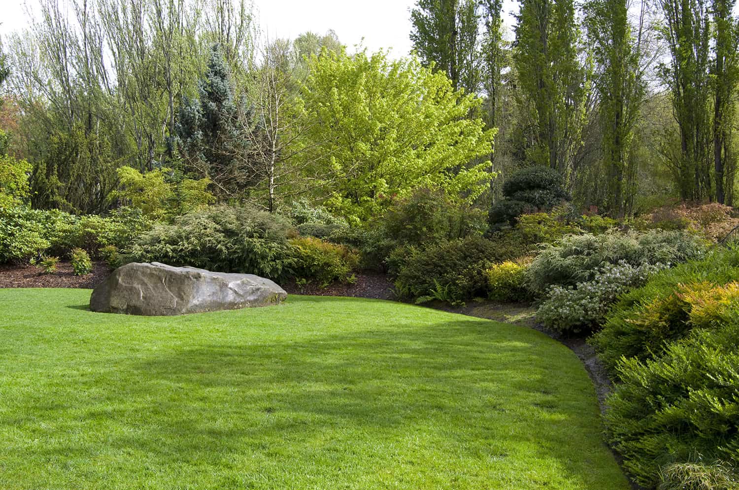 organic lawn care