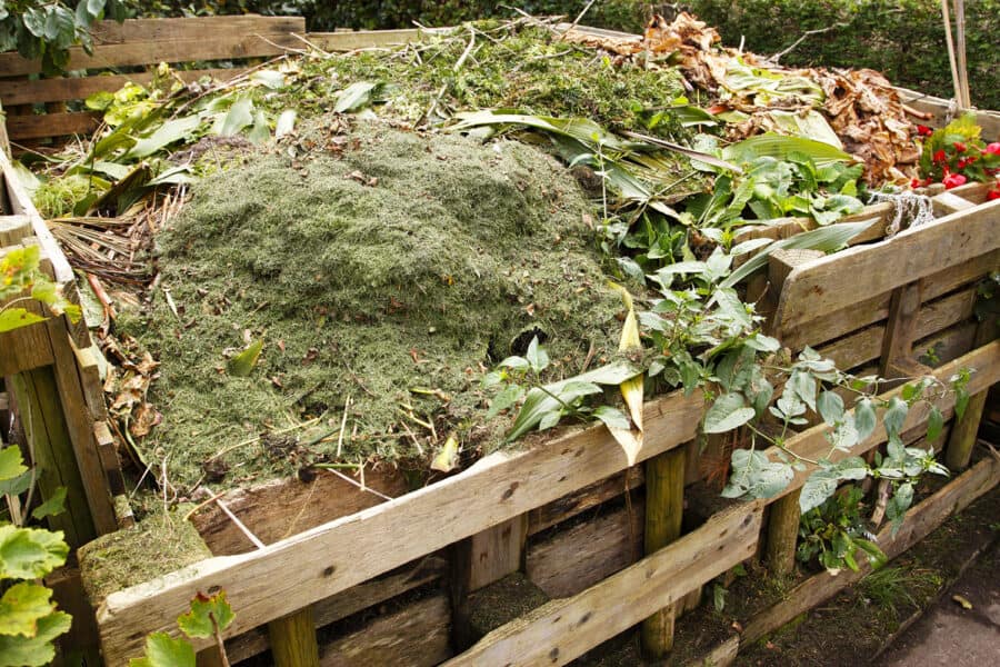 compost in bins