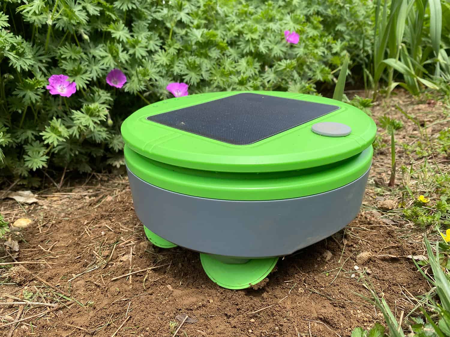 Livlig Sovereign hver Tertill Garden Weeding Robot Review: Tool or Toy?* Big Blog of Gardening