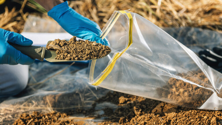 garden soil testing