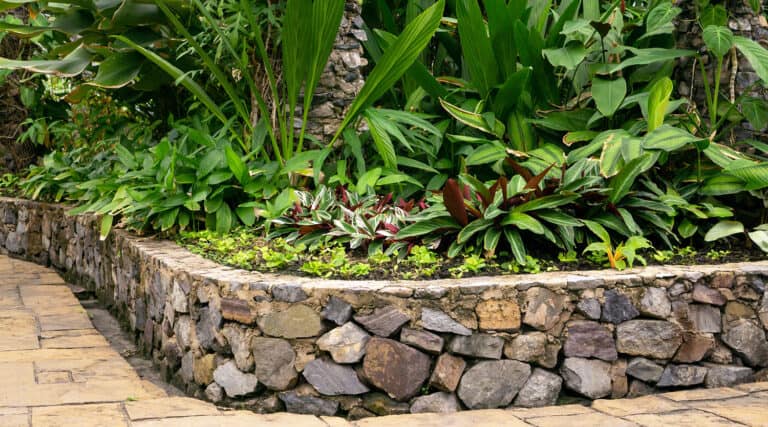 Curved stone retaining wall with rounded river rocks, lush green foliage and plants growing above and behind the wall structure