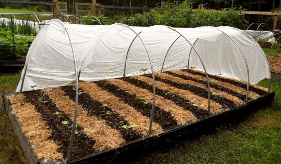 row cover to protect garden from heat extremes