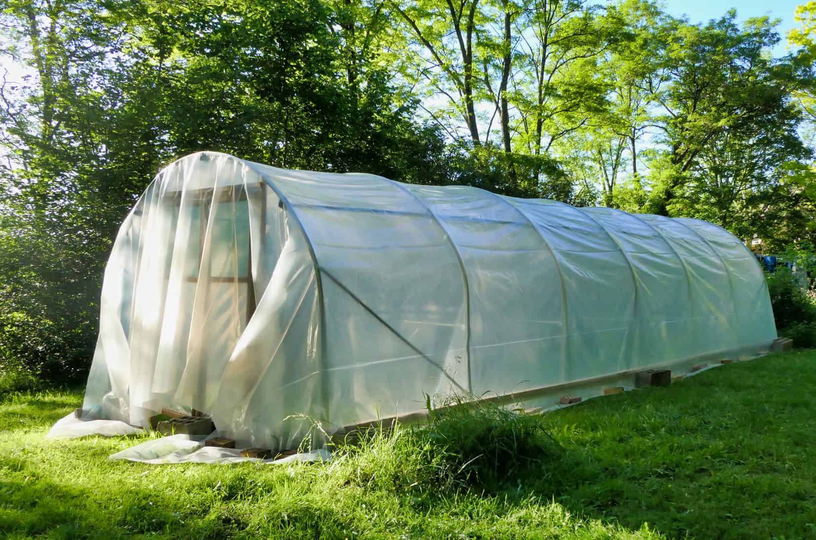 polytunnel over a garden
