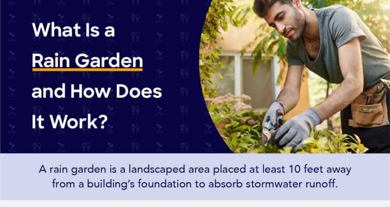 what is a rain garden