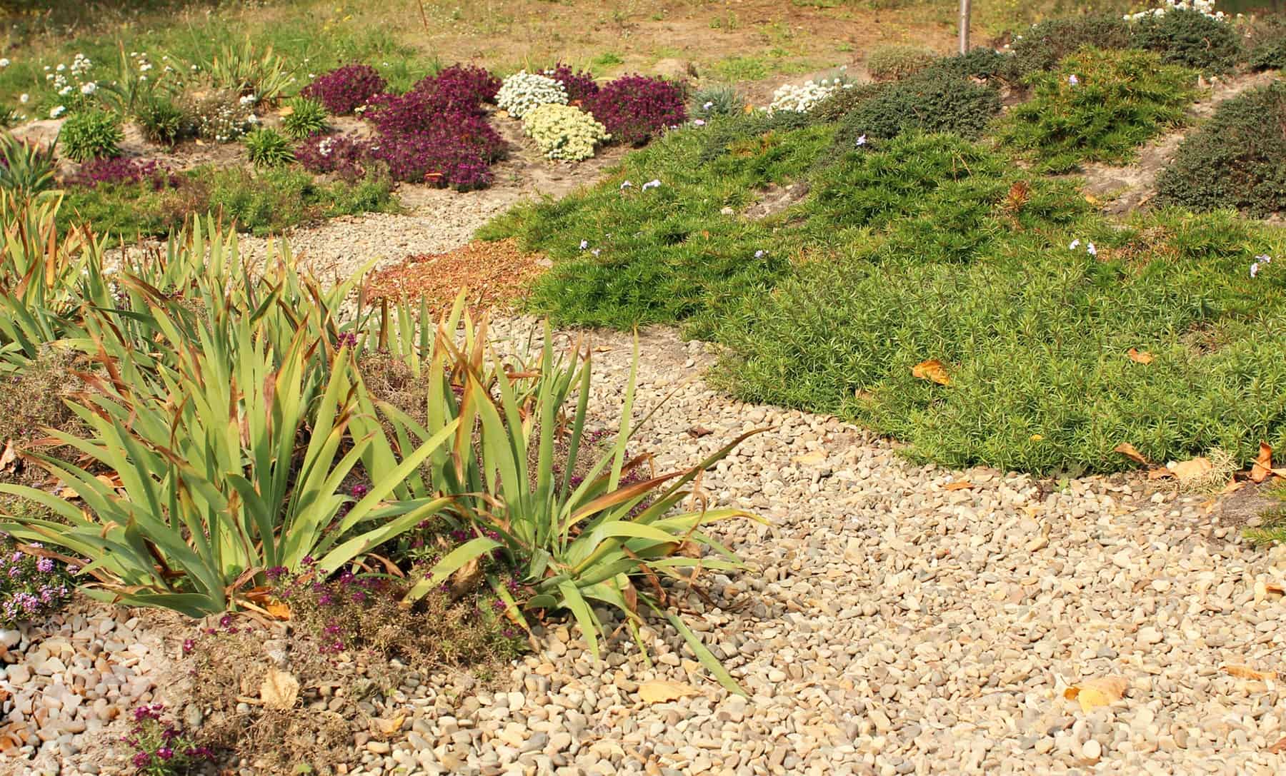 landscaping in arid regions