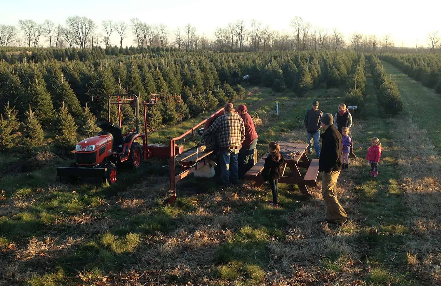 Family cutting a fresh christmas tree at a farm in Pennsylvania.