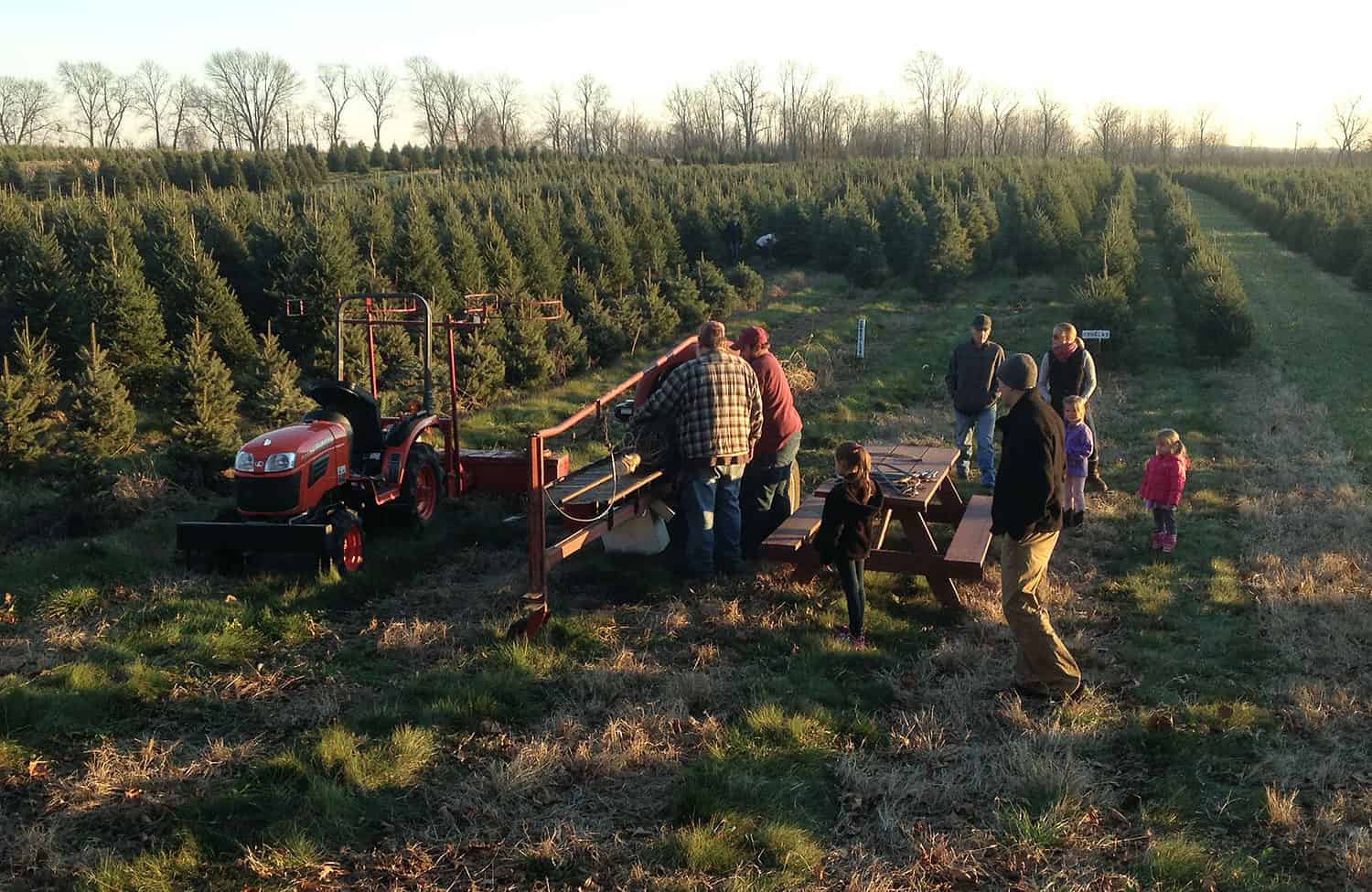 Family cutting a fresh christmas tree at a farm in Pennsylvania.