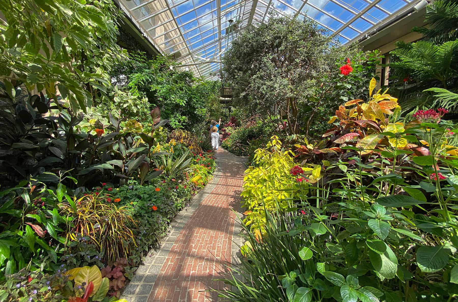longwood gardens arboretum