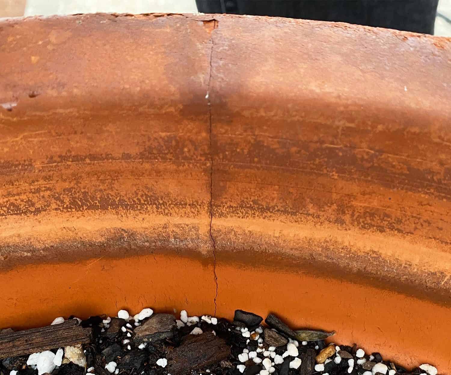 cracked terra cotta pot from winter weather