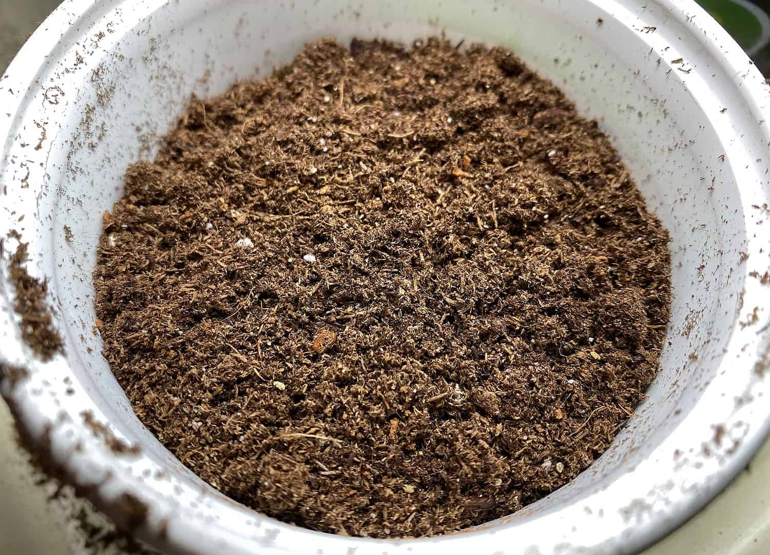 soilless potting mix in pot