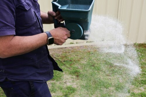 fertilizing lawn