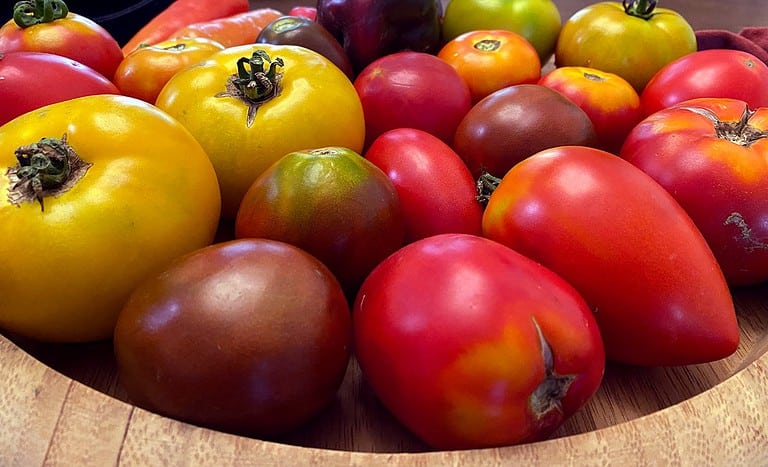tomatoes on cutting board