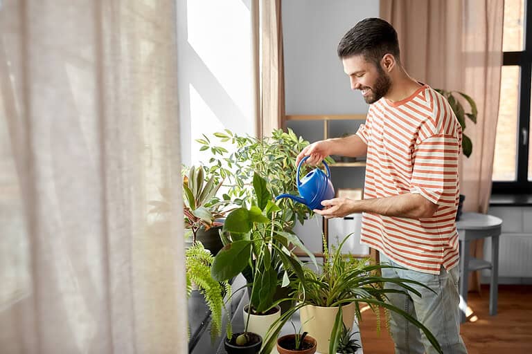 10 Indoor Places You Should Never Put a Plant