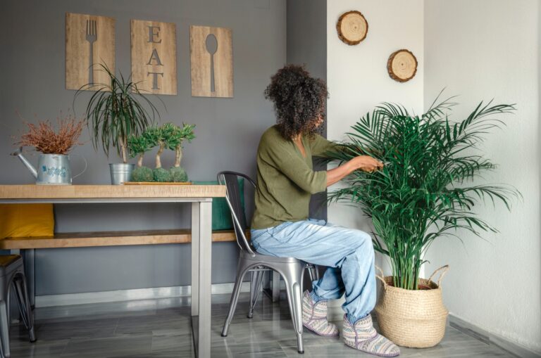 15 Good Luck Plants That Bring Positive Vibes to Your Home