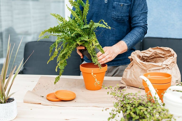 Hands holding fresh green herbs over orange bowl, kitchen counter, herb preparation, cooking ingredients, culinary herbs processing