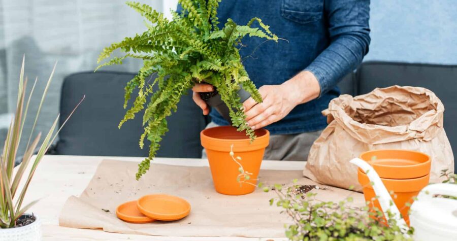 Hands holding fresh green herbs over orange bowl, kitchen counter, herb preparation, cooking ingredients, culinary herbs processing