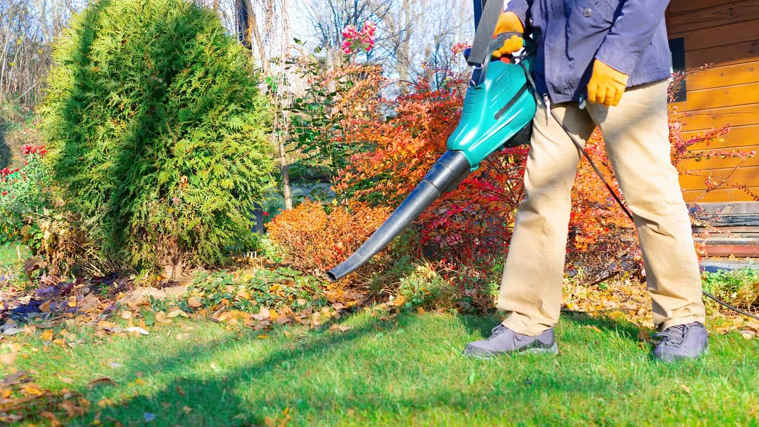 A person using a leaf blower near the edge of a lawn, adjacent to a garden with colorful autumn foliage, maintaining a tidy outdoor space