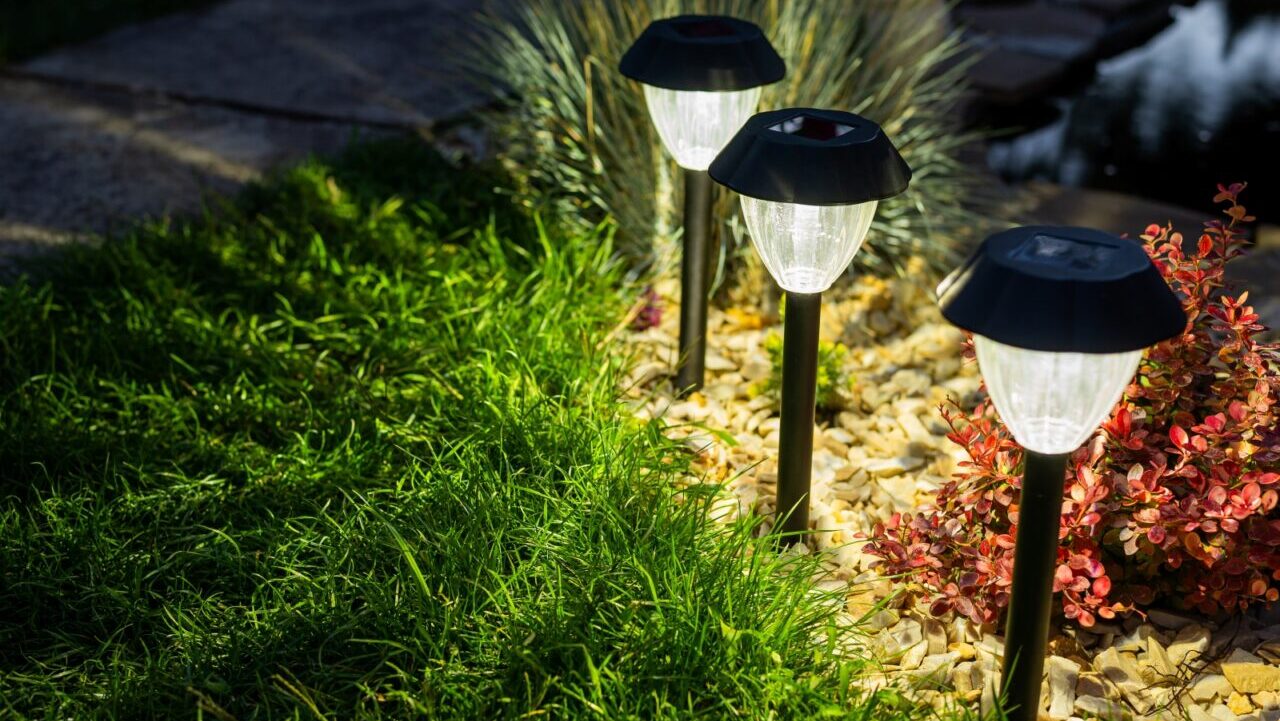 Solar pathway lights illuminating garden at night, small solar-powered landscape lighting fixtures among ground cover plants, outdoor garden path lighting in darkness, decorative garden lights casting glow on surrounding greenery