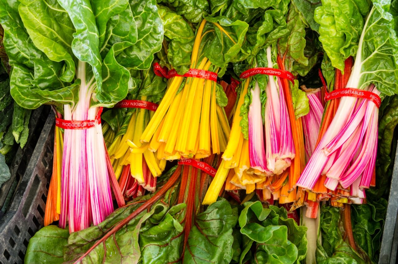Fresh rainbow chard, vibrant stems, leafy greens, tied in bundles, fresh produce