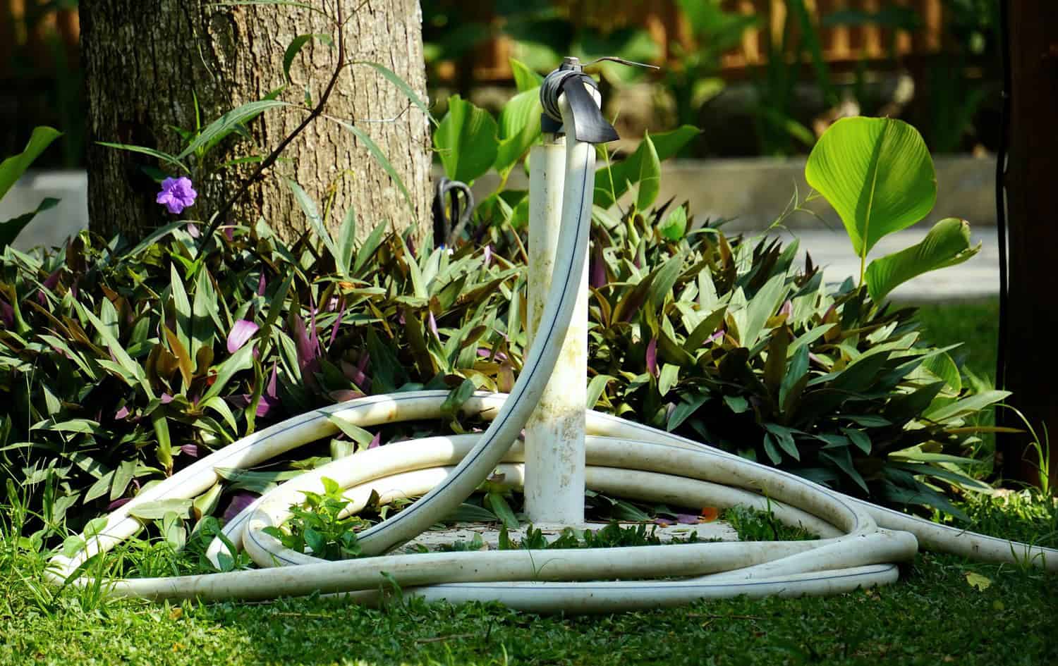 Garden water spigot or outdoor faucet with white hose attachment, surrounded by green plants and mulch, mounted on wooden post in garden setting