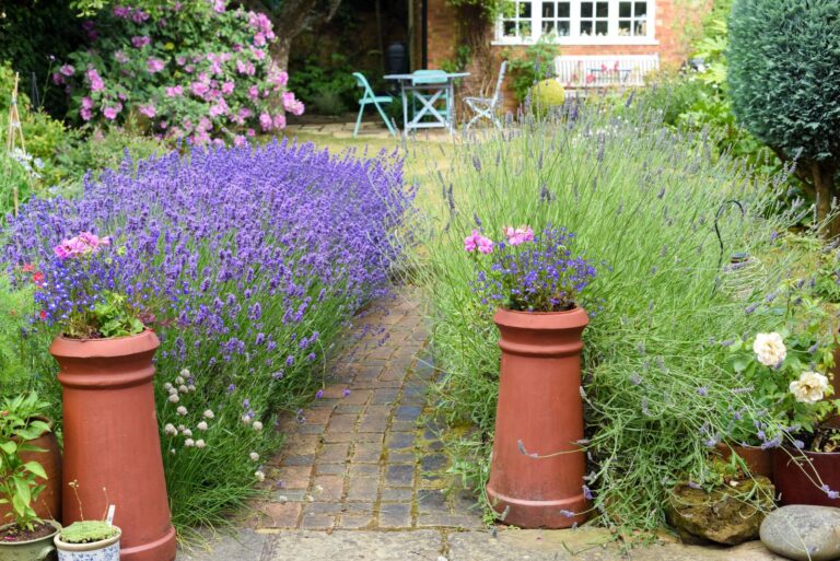 Brick pathway lined with lavender, terracotta planters at the entrance, outdoor seating with blue chairs and table, lush garden with blooming flowers, cozy cottage in the background, peaceful garden setting