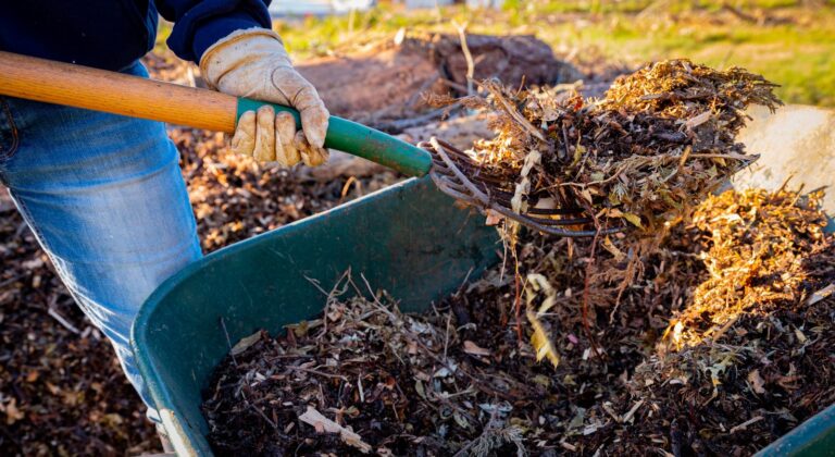 Gloved hand using a shovel to transfer wood chips into a wheelbarrow, wood chips used as mulch, organic gardening, composting process, soil enrichment, sustainable farming