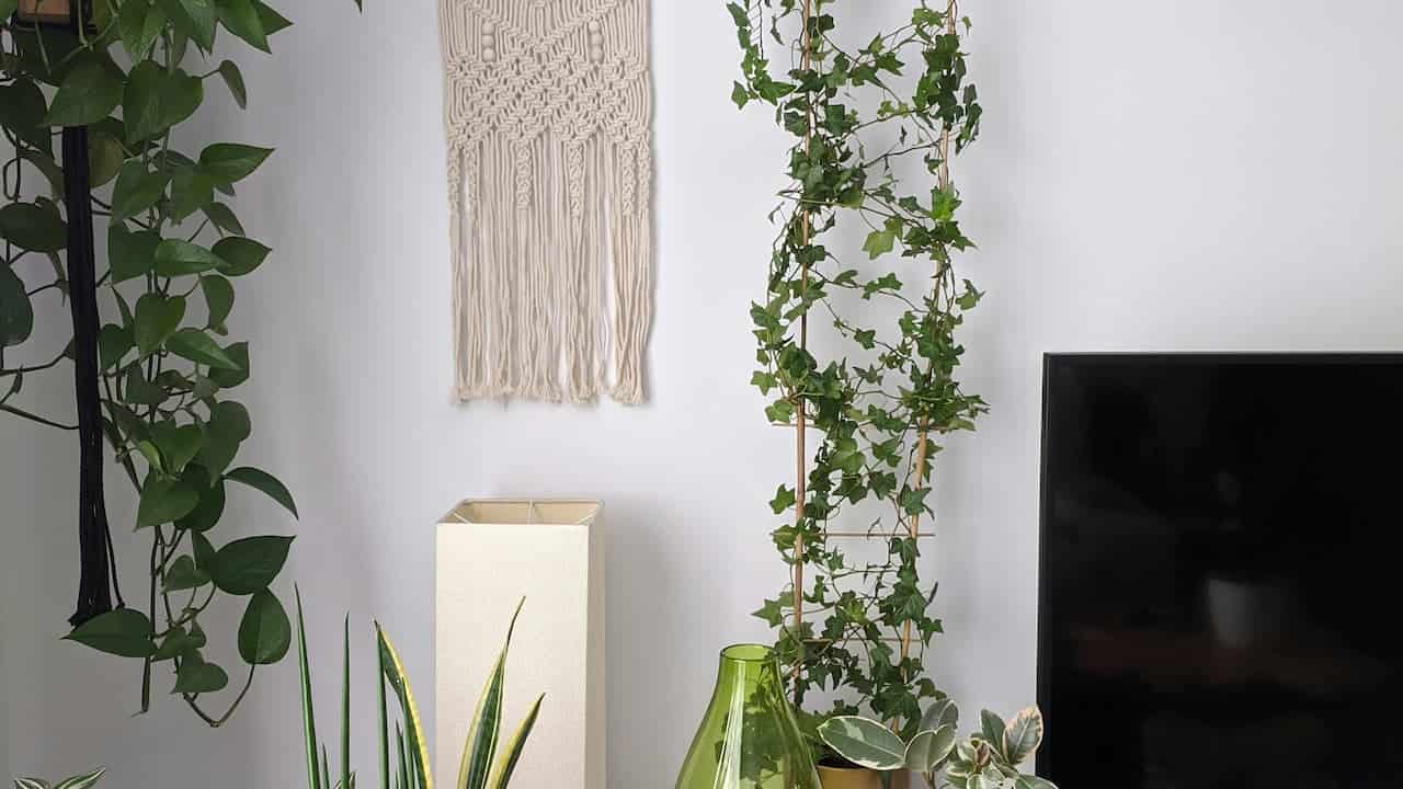 A cozy indoor space featuring a variety of plants, including a hanging pothos vine, a tall ivy plant on a wooden support, a decorative macrame wall hanging, a lamp, and a TV, creating a relaxed, natural ambiance in the room with a minimalist style