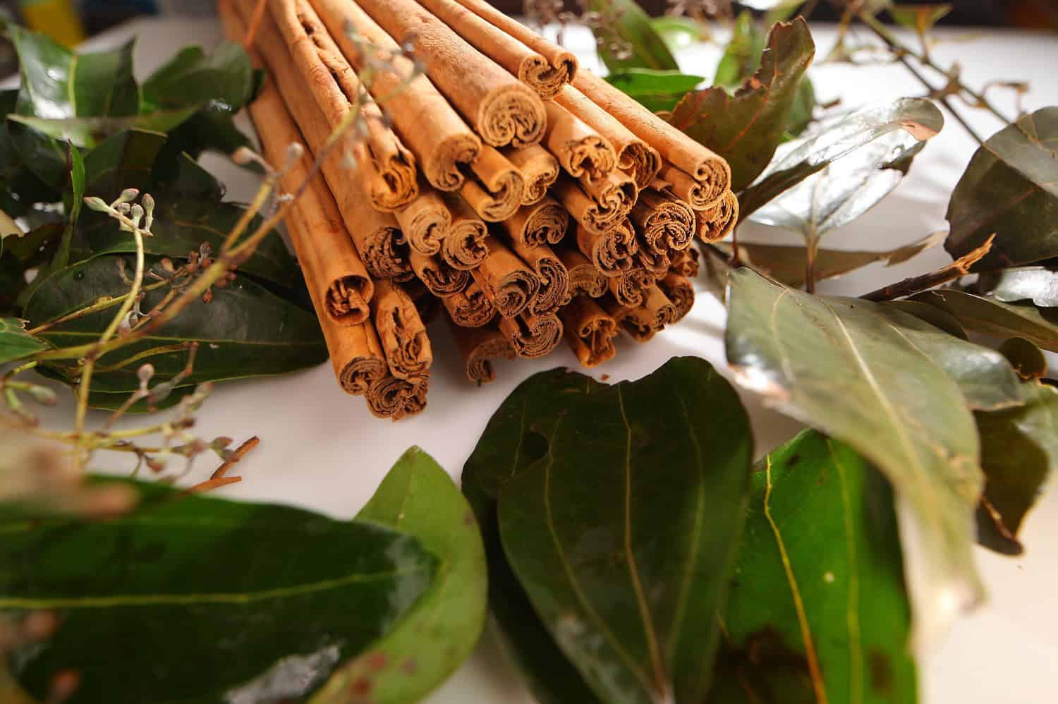 Bundle of cinnamon sticks, dried brown spice quills, green leaves visible underneath, culinary ingredient, close-up view