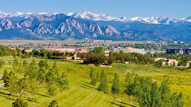 11 Illegal Plants That Could Land You a Fine in Colorado