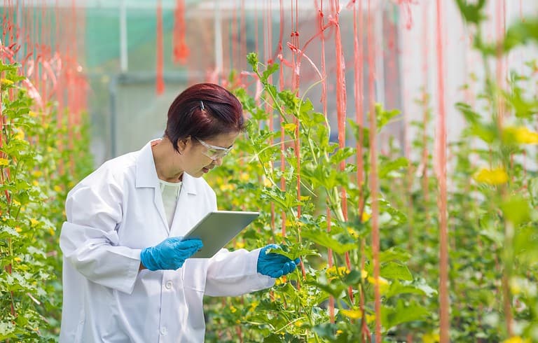A scientist wearing protective gloves and a lab coat, using a tablet to monitor plant growth in a greenhouse, with vines and red strings supporting the plants