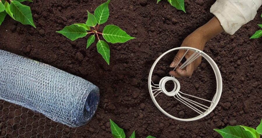 Person using the wire frame of a lampshade and chicken wire to cover a plant in their garden