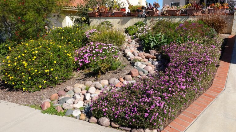 Colorful flower garden, winding path of pebbles, vibrant purple and yellow flowers, well-maintained landscaping, mix of rocks and plants, natural garden design