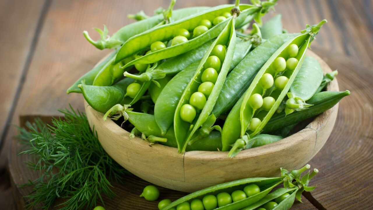 Fresh green pea pods in wooden bowl, some pods open showing bright green peas inside, recently harvested garden vegetables, vibrant color, natural lighting