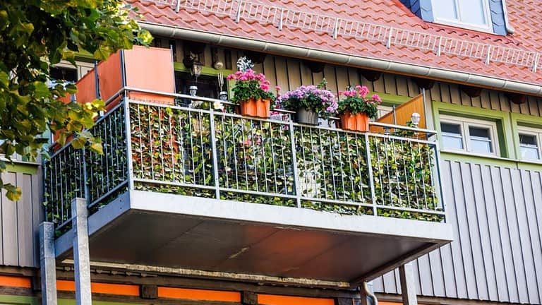Metallic balcony with beautiful plants in summer
