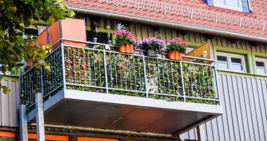 Metallic balcony with beautiful plants in summer