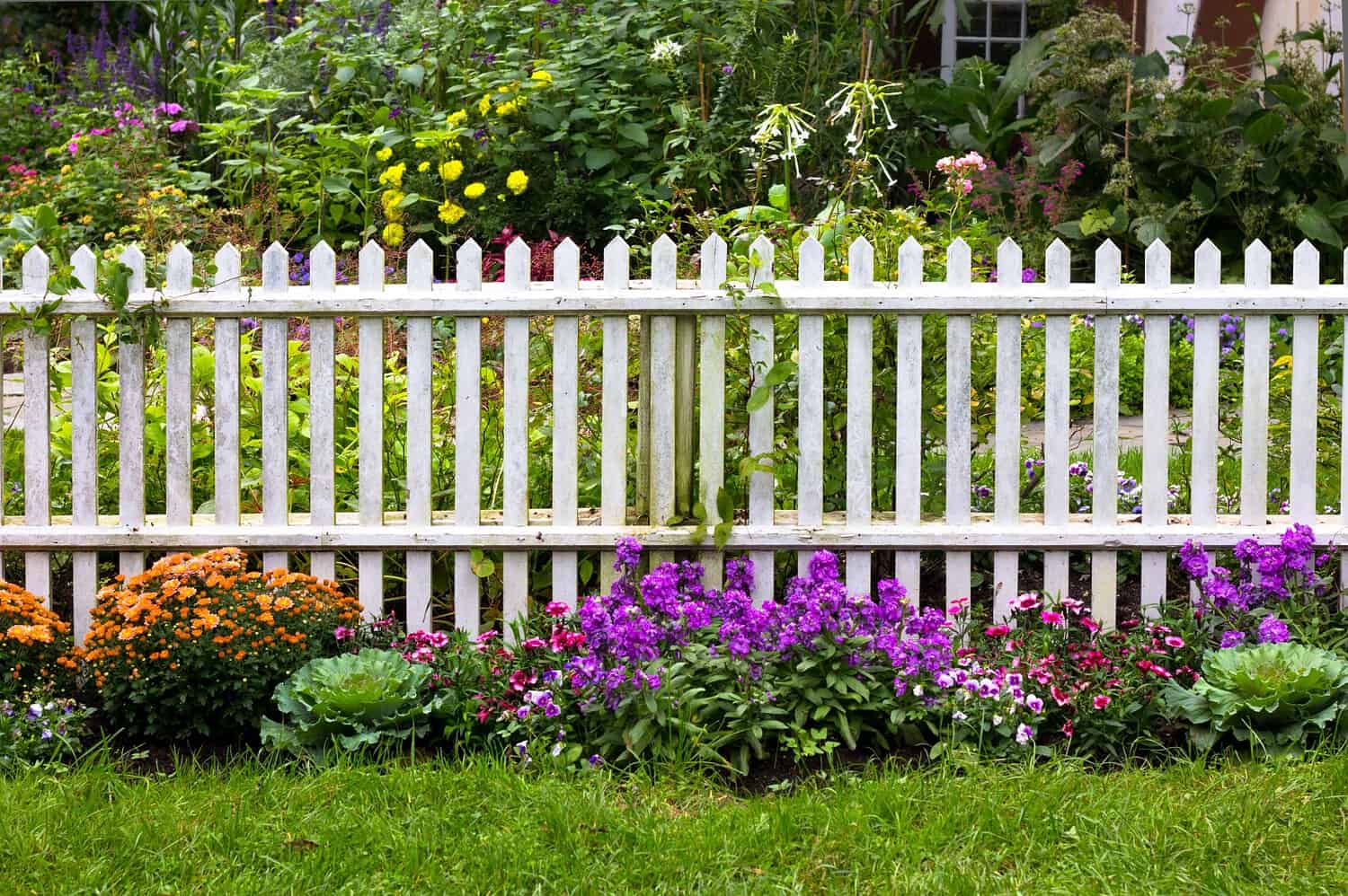 White picket fence with colorful flower garden featuring purple, orange, and yellow blooms against green lawn and lush background