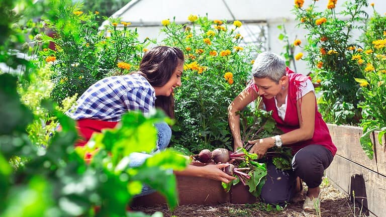 14 Natural Pain Relievers You Can Grow In Your Garden