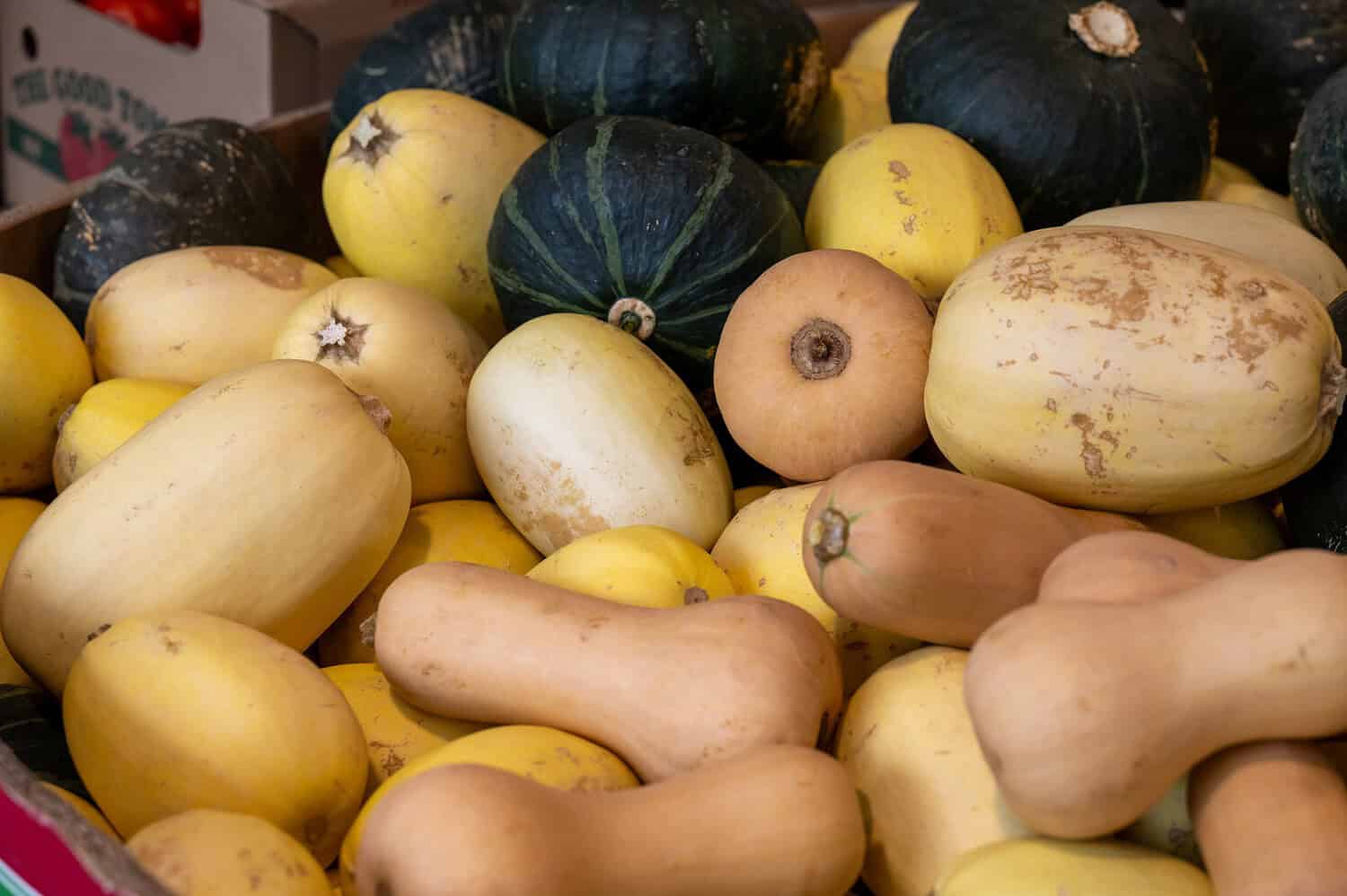Assorted winter squash including butternut, acorn, and spaghetti varieties in yellow, green, and beige colors grouped together