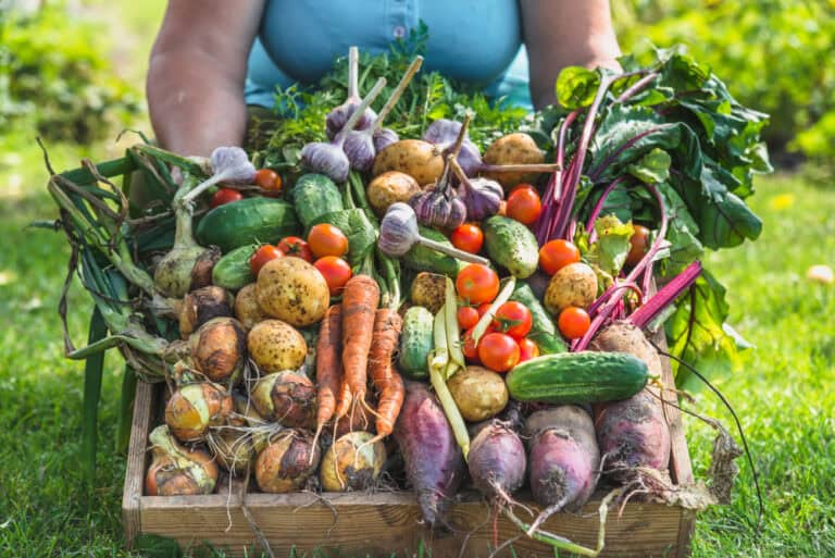Organic Gardening Myths People Needs to Stop Spreading
