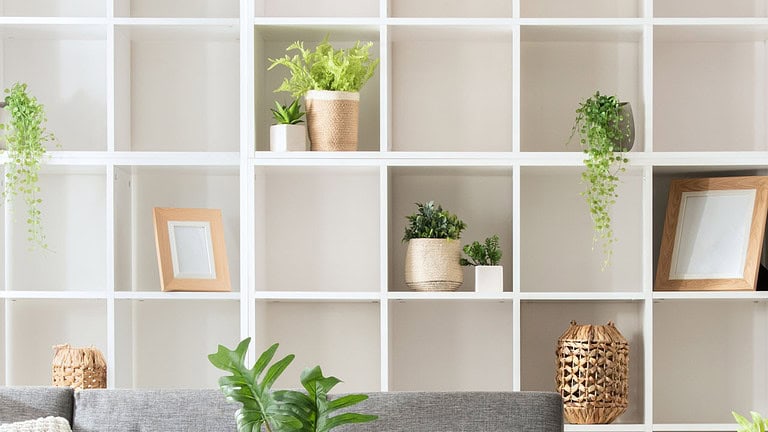 Modern Minimalist Living Room Interior Design Featuring a White Square-Spaced Bookshelf, Grey Sofa, and Plants.