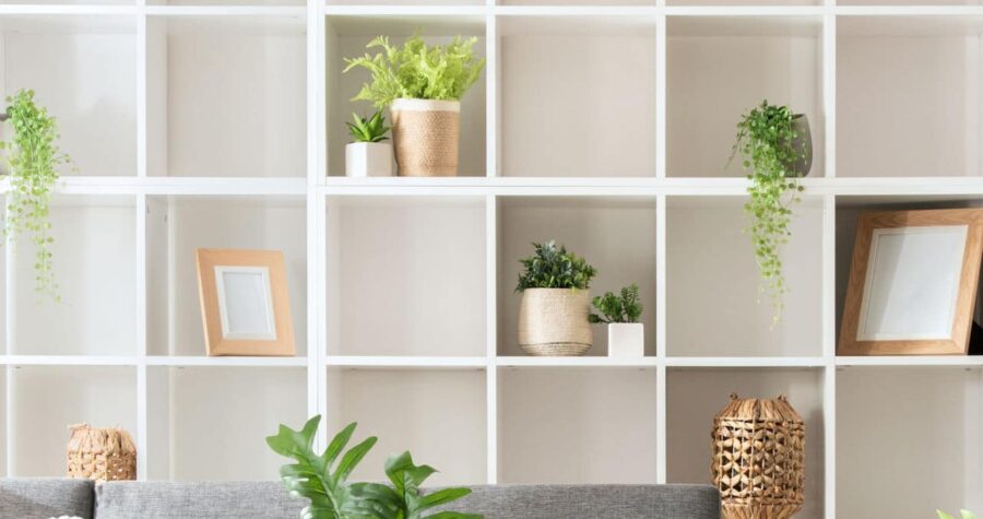 Modern Minimalist Living Room Interior Design Featuring a White Square-Spaced Bookshelf, Grey Sofa, and Plants.