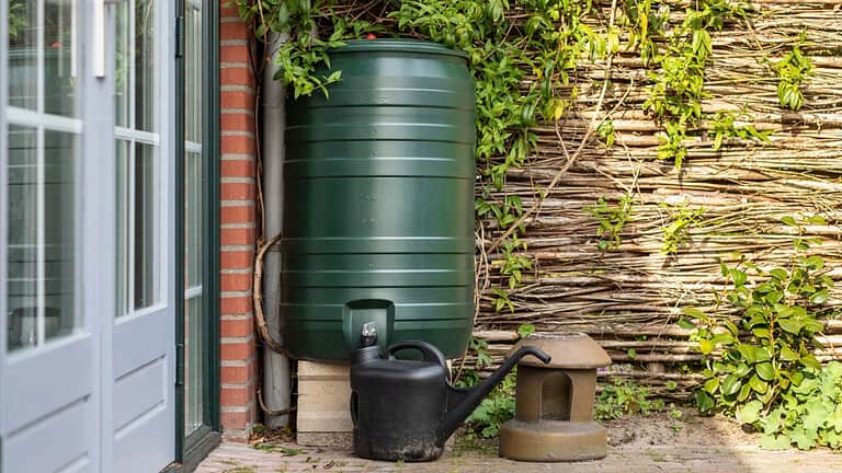 A green rain barrel to collect rainwater and reusing it to water the plants and flowers in a backyard with a wattle fence made of willow branches on a sunny day