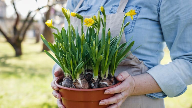 10 Plants That Are Dangerous to Grow Without Proper Care