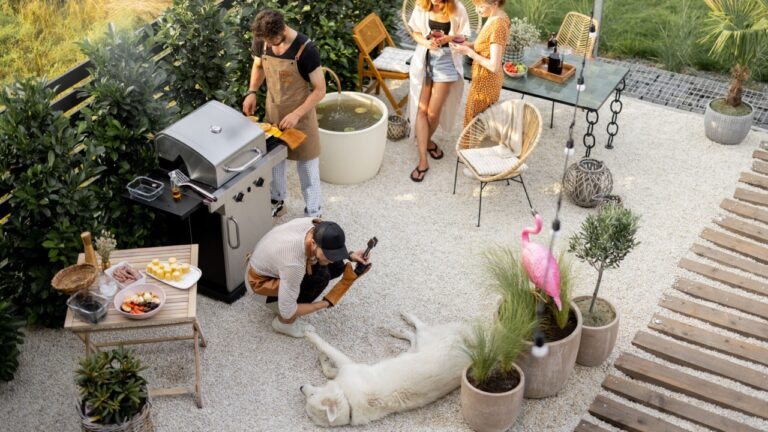 Friends hanging out together, grilling food, playing with a dog and drinking wine at backyard. Top view on a beautiful garden