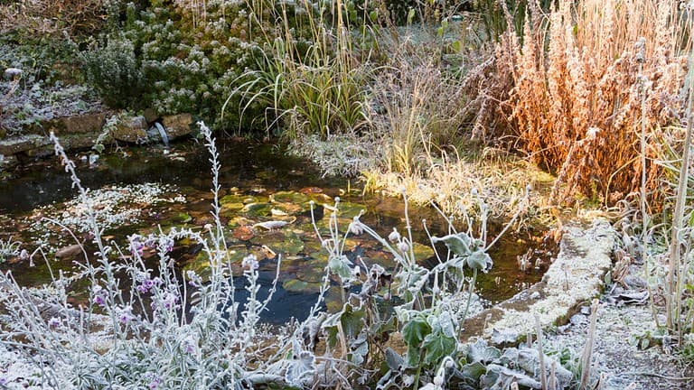 Frozen garden pond in Winter, England
