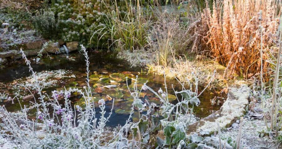 Frozen garden pond in Winter, England