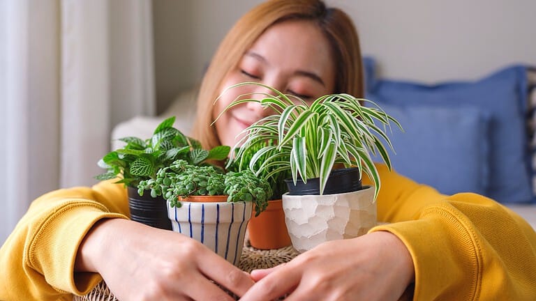 Woman hugging house plants, green thumb, decor